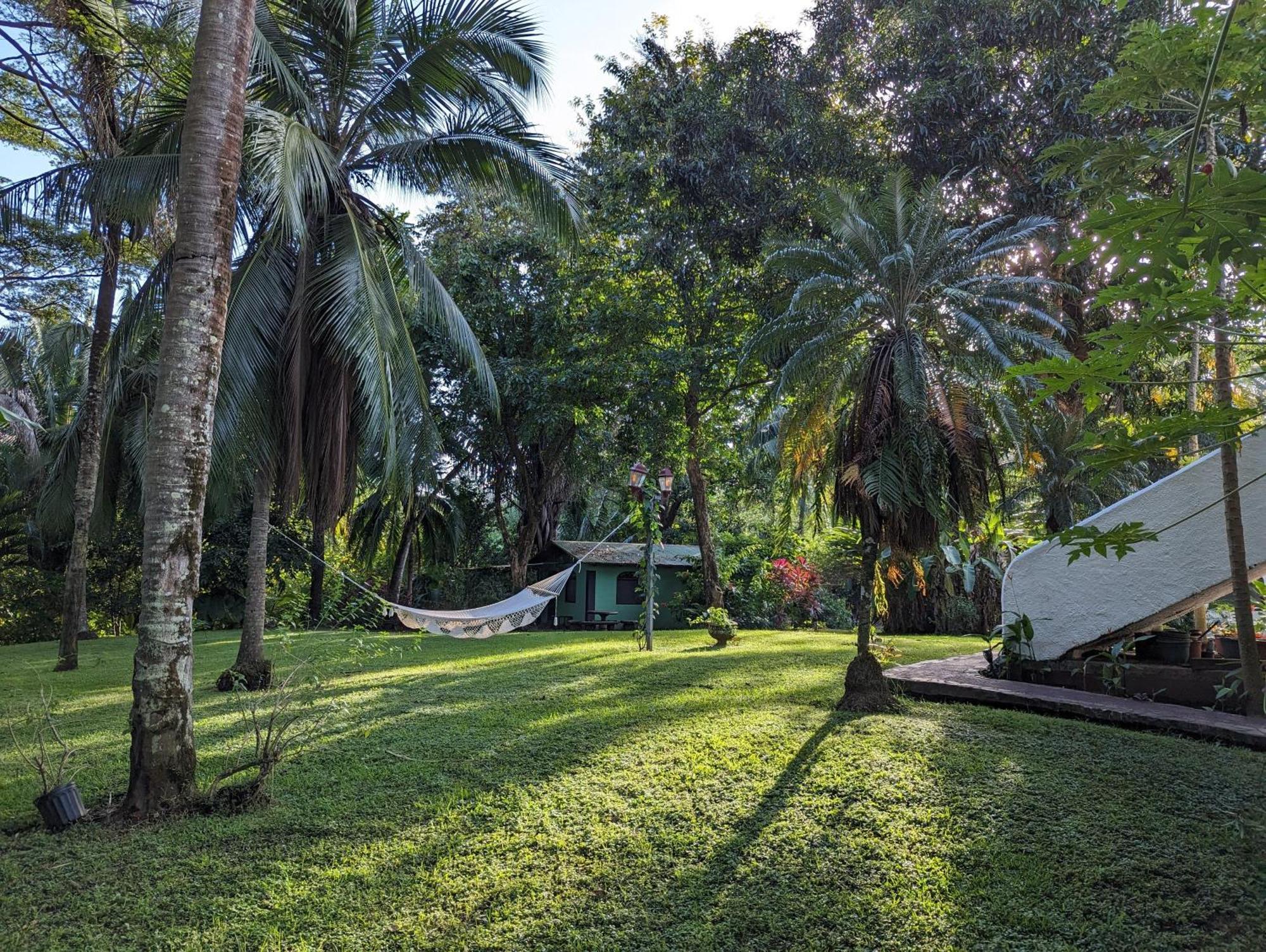 Spirit Of Jungle Lodge Samara Bagian luar foto