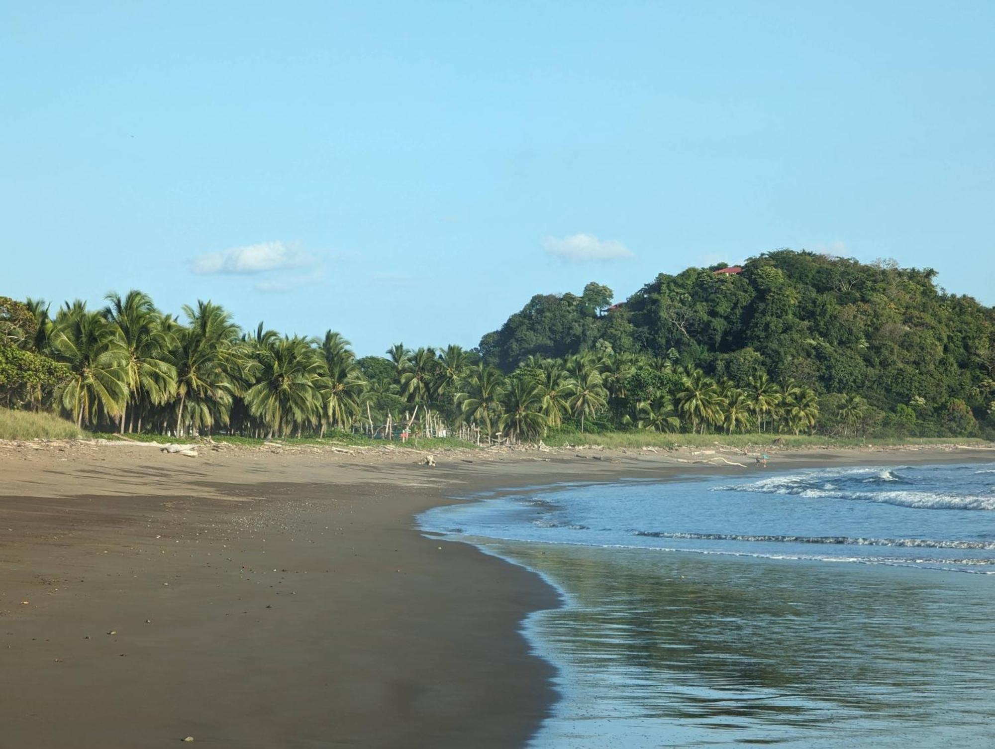 Spirit Of Jungle Lodge Samara Bagian luar foto