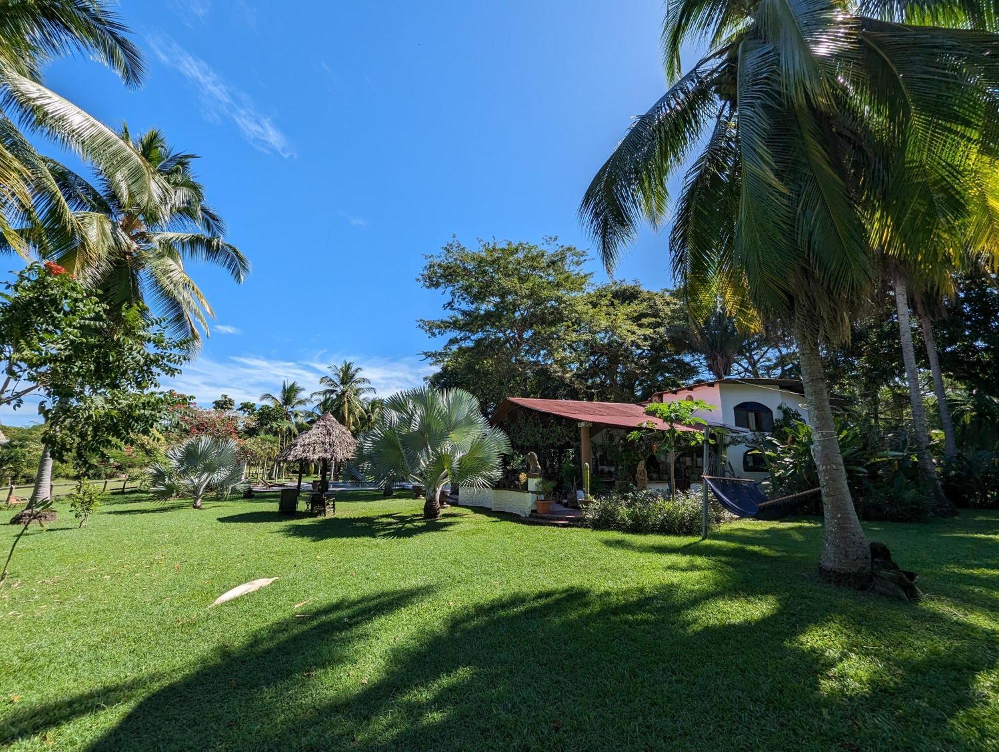 Spirit Of Jungle Lodge Samara Bagian luar foto